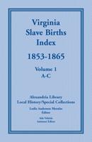 Virginia Slave Births Indes 1853-1865 0788442325 Book Cover