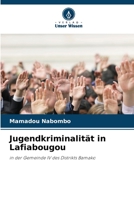 Jugendkriminalit?t in Lafiabougou 6205852918 Book Cover