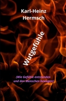 Wutgefühle: (Wie Gefühle entstanden und den Menschen bewegen) B09MYQ8QVL Book Cover