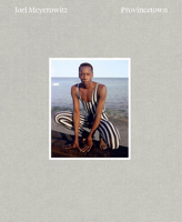 Joel Meyerowitz: Provincetown 1597114677 Book Cover