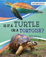 Is It a Turtle or a Tortoise? 1663908672 Book Cover