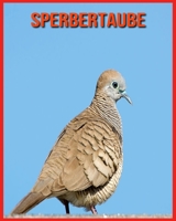 Sperbertaube: Faszinierende Sperbertaube Fakten für Kinder mit atemberaubenden Bildern! B08WSHFBXB Book Cover