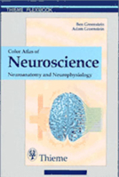Color Atlas of Neuroscience: Neuroanatomy and Neurophysiology (Thieme Flexibook) 0865777101 Book Cover