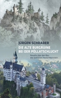 Die alte Burgruine bei der Pöllatschlucht (German Edition) 3749403317 Book Cover