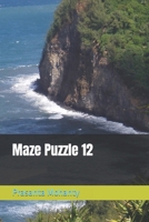 Maze Puzzle 12 B0BMSP2MQD Book Cover