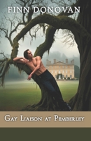 Gay Liaison at Pemberley B0D9MQNWT4 Book Cover