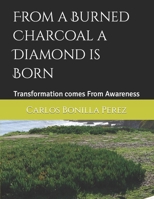 From a Burned Charcoal a Diamond is Born: Transformation comes From Awareness B099BYLPCV Book Cover