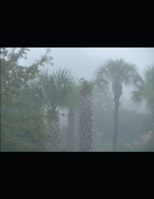 EWE for the New Diaspora: A Quick Guide to the Names 1706129548 Book Cover