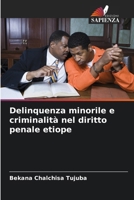Delinquenza minorile e criminalità nel diritto penale etiope (Italian Edition) 6207922441 Book Cover