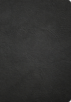 CSB Baker Illustrated Study Bible, Black Genuine Leather B0F7F8HYZM Book Cover