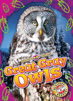 Great Gray Owls B0BYXQ4FDQ Book Cover