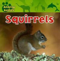 Squirrels (Amazing Animals) 1599391333 Book Cover
