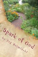 Spark of God 0615791840 Book Cover
