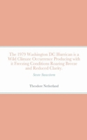 The 1979 Washington DC Hurrican is a Wild Climate Occurrence Producing with it Freezing Conditions Roaring Breeze and Reduced Clarity. B0BQDZVF74 Book Cover