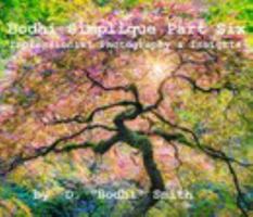 Bodhi Simplique Part Six Impressionist Photography And Insights 1006124039 Book Cover