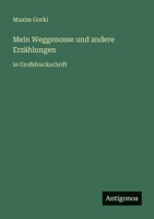 Mein Weggenosse und andere Erzählungen: in Großdruckschrift 3566047163 Book Cover