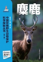Chinese Rare Wildlife Conservation Science Exploration Series: Elk/????????????????:?? (Chinese Edition) 7531991861 Book Cover