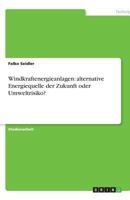 Windkraftenergieanlagen: alternative Energiequelle der Zukunft oder Umweltrisiko? 3638779726 Book Cover