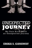 Unexpected Journey: My Pain Birth Forth an Unexpected Journey 1642587648 Book Cover