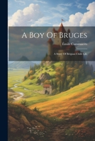 A Boy Of Bruges: A Story Of Belgian Child Life 102255557X Book Cover