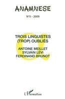 Trois linguistes (trop) oubliés: Antoine Meillet, Sylvain Levi, Ferdinand Brunot (Anamnese) (French Edition) 2296110819 Book Cover