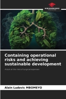 Containing operational risks and achieving sustainable development 6207341880 Book Cover