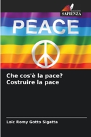 Che cos'è la pace? Costruire la pace 6206221717 Book Cover