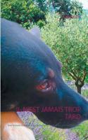 Il n'est jamais trop tard (French Edition) 2322013765 Book Cover