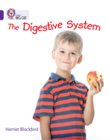 The Digestive System. Written by Harriet Blackford 0007461984 Book Cover