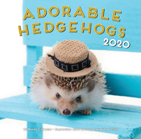 Adorable Hedgehogs 2020: 16-Month Calendar - September 2019 through December 2020 1631066080 Book Cover