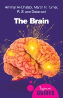The Brain: A Beginner's Guide 1851685944 Book Cover