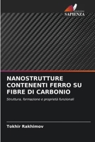 Nanostrutture Contenenti Ferro Su Fibre Di Carbonio 6630255119 Book Cover