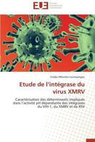 Etude de L Inta(c)Grase Du Virus Xmrv 3838185722 Book Cover