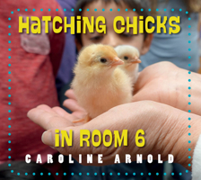 Hatching Chicks in Room 6 1623542685 Book Cover