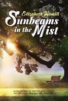 Sunbeams in the Mist: Collection of poetry and stories celebrating God and His creation 1999795512 Book Cover