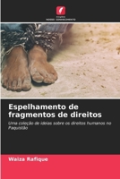 Espelhamento de fragmentos de direitos 6202453516 Book Cover