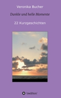 Dunkle und helle Momente: 22 Kurzgeschichten 334721983X Book Cover