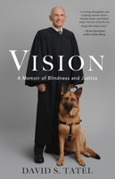 Vision: A Memoir of Blindness and Justice 0316542024 Book Cover