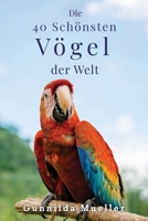 Die 40 Schönsten Vögel der Welt Bilderbuch: Demenz Beschäftigung für Senioren mit Alzheimer und Kognitive Herausforderung 9189700708 Book Cover