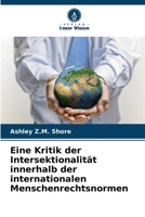 Eine Kritik der Intersektionalität innerhalb der internationalen Menschenrechtsnormen (German Edition) 620892863X Book Cover
