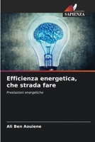 Efficienza energetica, che strada fare 6204447467 Book Cover