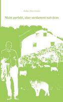 Nicht perfekt aber verdammt nah dran 3744898636 Book Cover