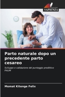 Parto naturale dopo un precedente parto cesareo (Italian Edition) 6208317460 Book Cover