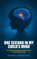 One Second in my Child's Mind: What Research Reveals About the Inner Experience of a Developing Child's Mind 1068180331 Book Cover