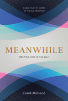 Meanwhile: Meeting God in the Wait 1563095564 Book Cover