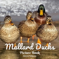 Mallard Ducks Picture Book: A photobook of Mallard Ducks Gift for Adults Duck lovers Bird Lovers seniors with Dementia Alzheimer Patients Kids and Children Wordless B0959BVY5Y Book Cover