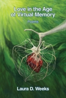 Love in the Age of Virtual Memory 163980837X Book Cover