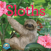 Original Sloths Mini Wall Calendar 2026: Celebrate Life in the Slow Lane 1523529342 Book Cover