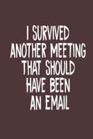 I Survived Another Meeting That Should Have Been An Email Notes Notebook 1671718380 Book Cover