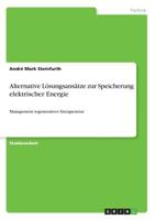 Alternative Lösungsansätze zur Speicherung elektrischer Energie (German Edition) 366895240X Book Cover